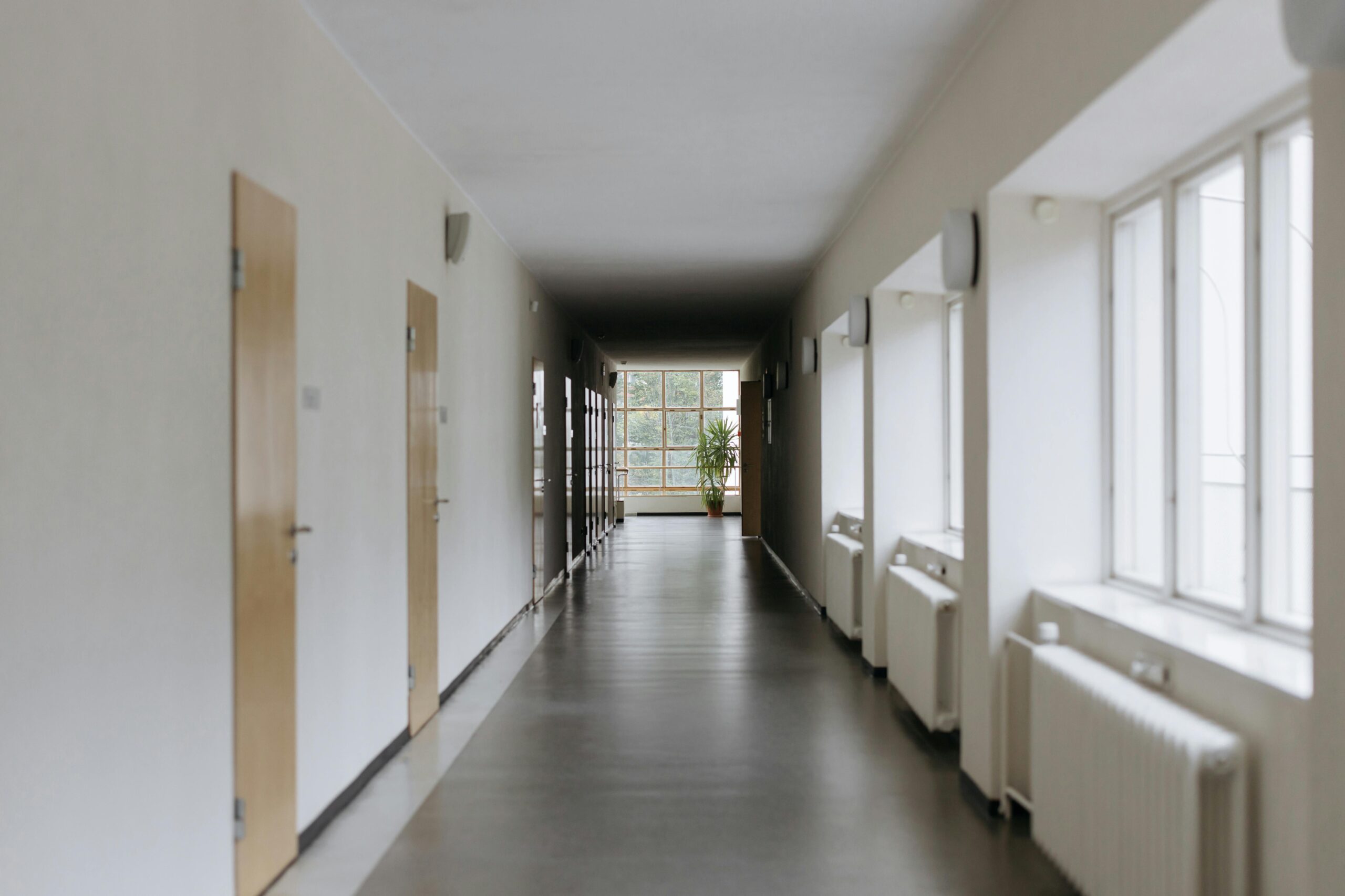 Stolove v. Waypoint Centre for Mental Health Care: Recent Developments in Systemic Negligence in Class Actions - photo